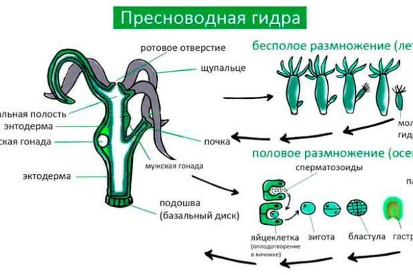 Кракен сайт регистрация