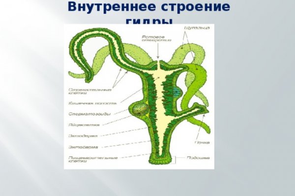 Официальный сайт кракен тор