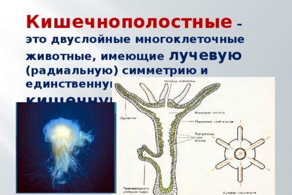 Кракен вход krakens13 at